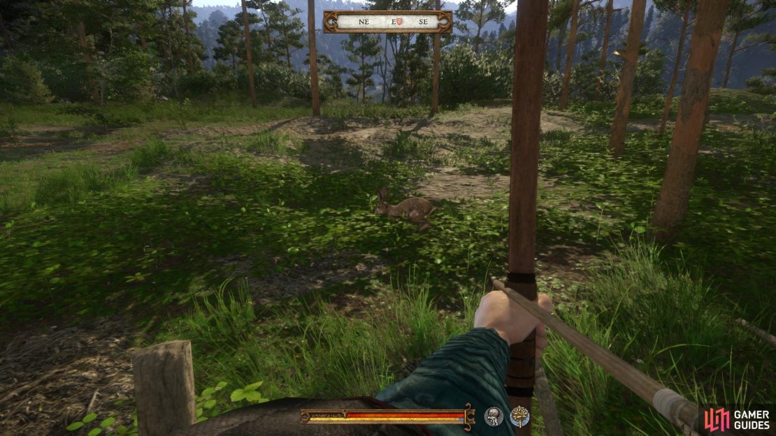 Shoot as many hare as you need to until you reach the required amount of meat (90).