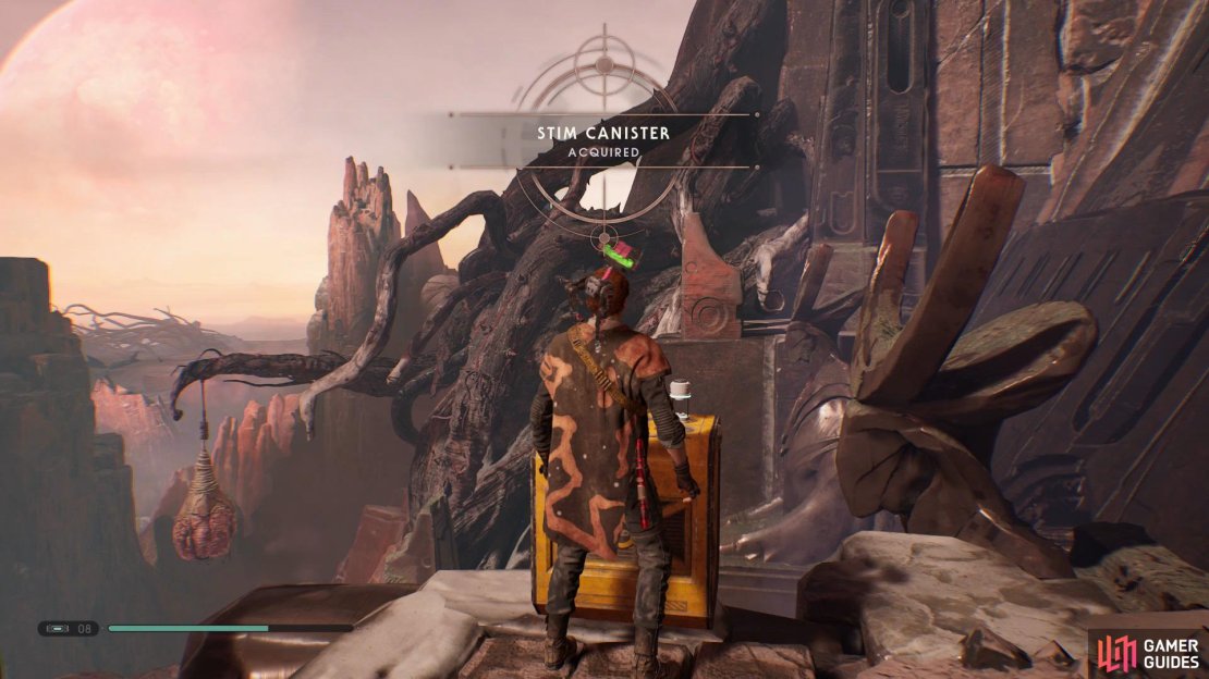Progress through the Nightmare Ruins and you’ll find a golden chest at the end that contains the seventh Stim Canister.