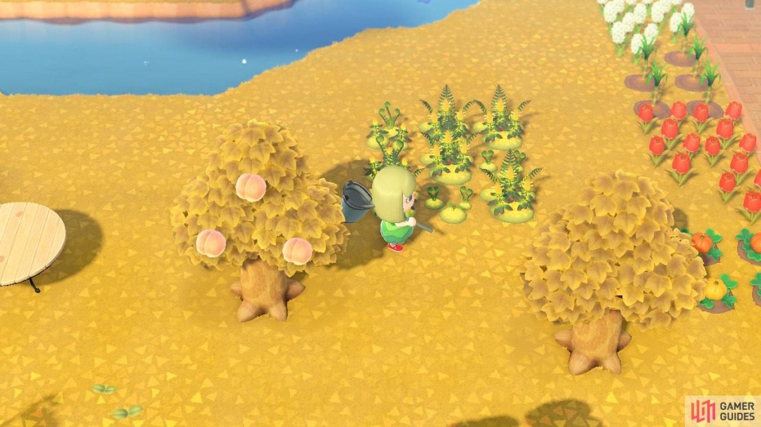 You&rsquo;ll be able to plant Glowing Moss on your island to grow more of it - which is good, as there are plenty of DIY recipes to be made.