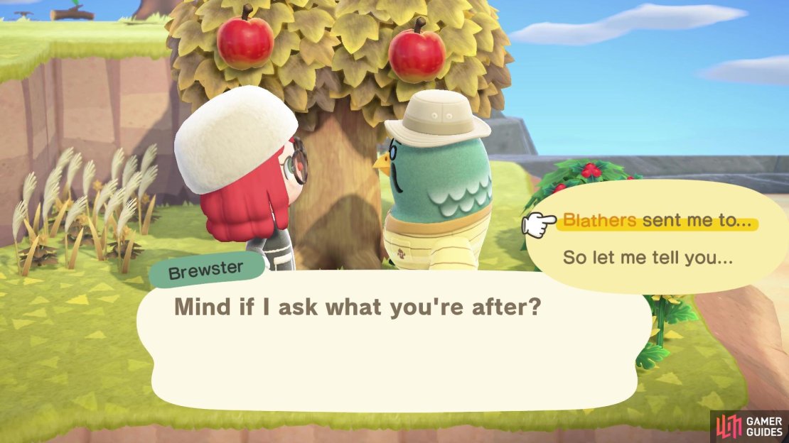 Brewster can be found searching for Gyroids on a mysterious island Kapp&rsquo;n also happens to know the location of.