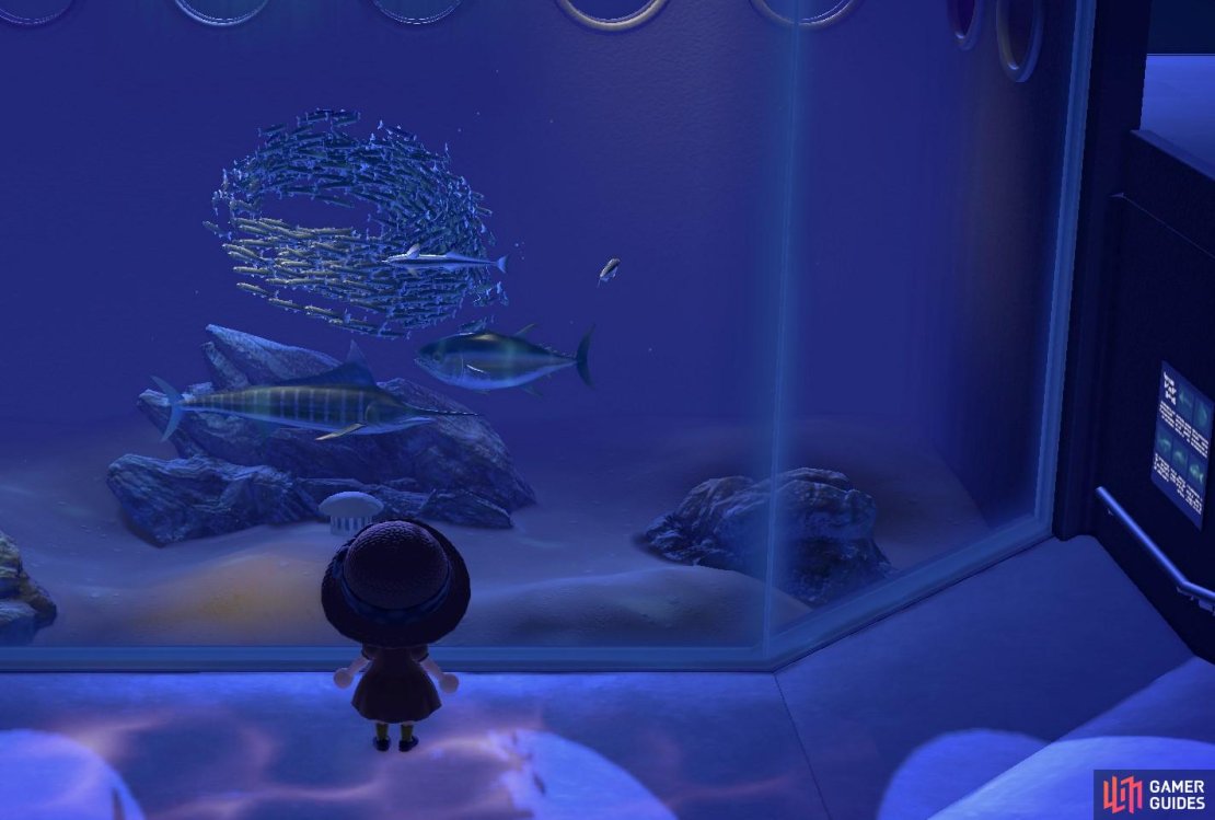 Don&rsquo;t forget to donate your fish to Blathers!