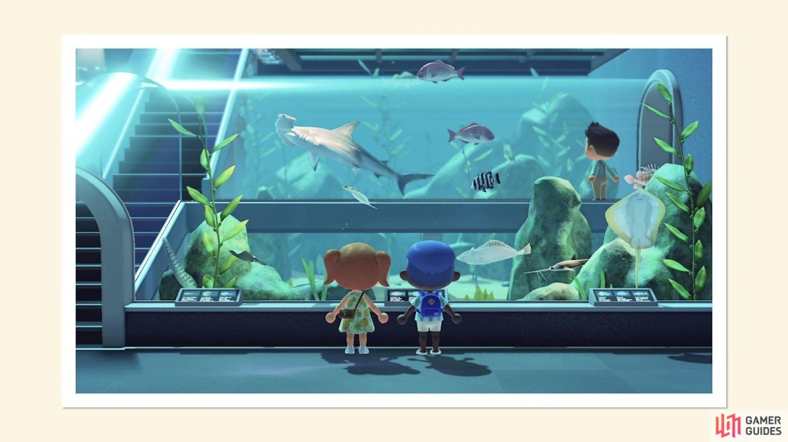 The fish museum is great for looking at all the fish you&rsquo;ve caught  (if you&rsquo;ve donated them, of course!)