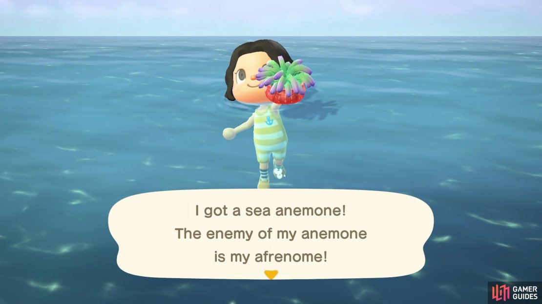 The Sea Anemone is a stationary sea creature, so it&rsquo;s easy to catch!