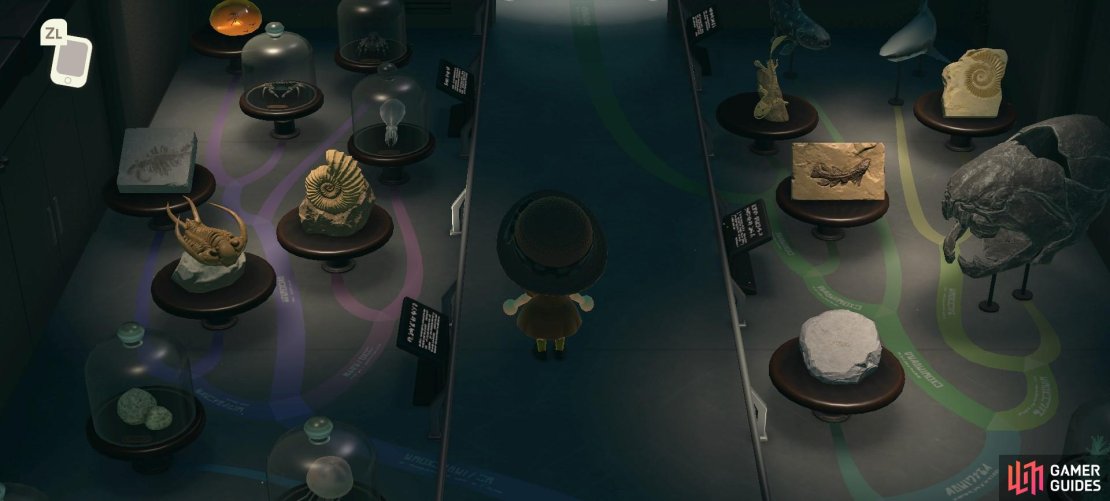 This corridor room displays lots of stand-alone fossils.