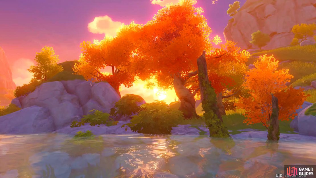 Xiao is taking in the scenery.