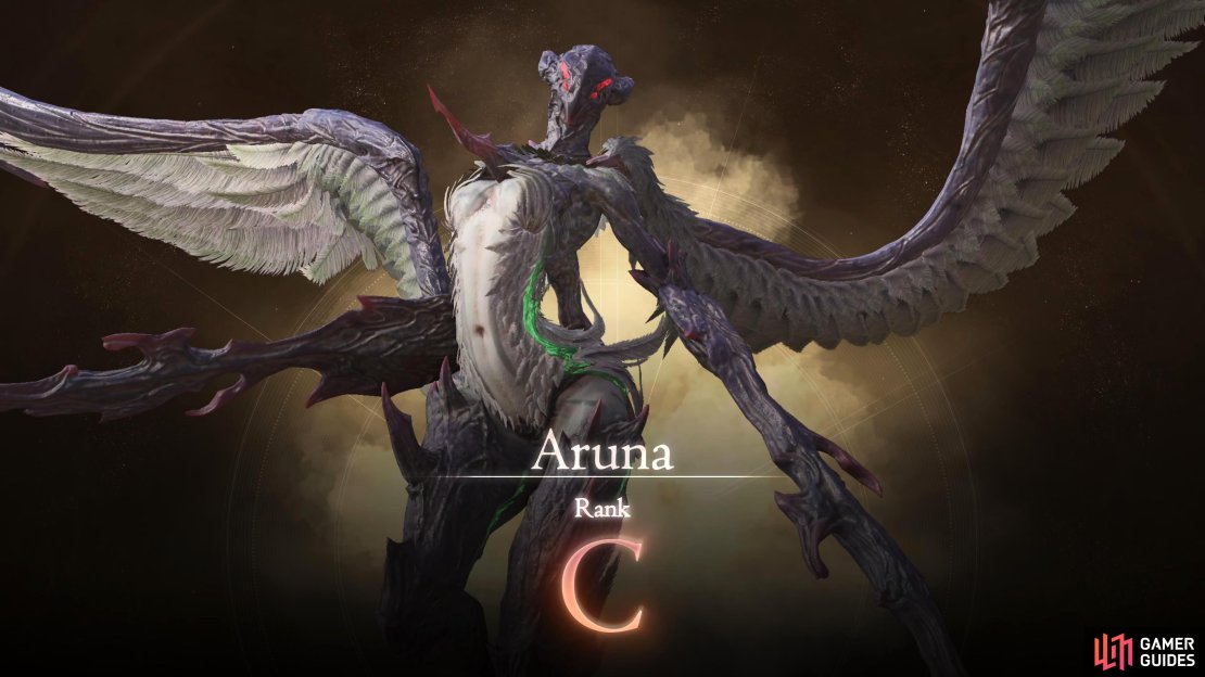 Aruna will be the second C Rank Hunt you&rsquo;ll face.
