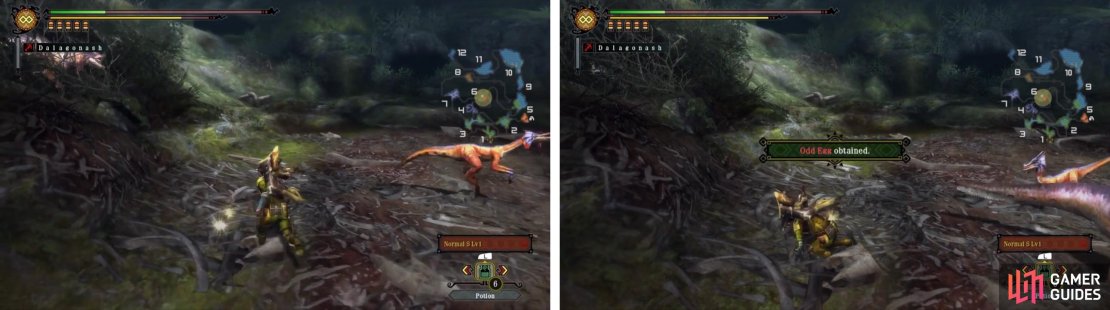 Shiny spots contain special commodities and only appear in the Moga Woods.