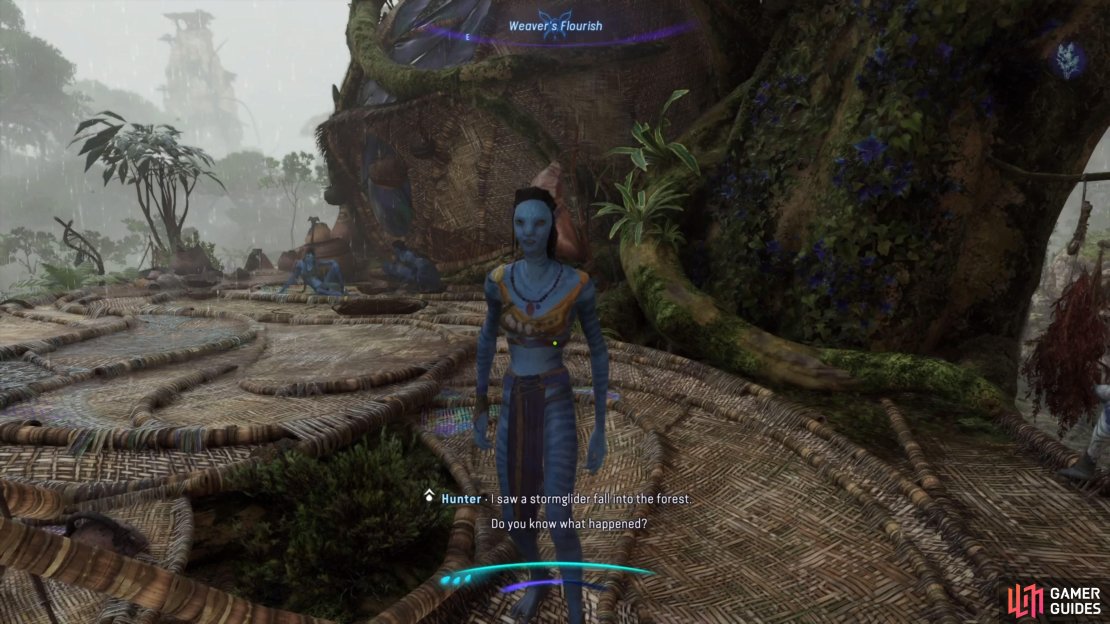 A Na&rsquo;vi at one of the camps will have this quest for you.