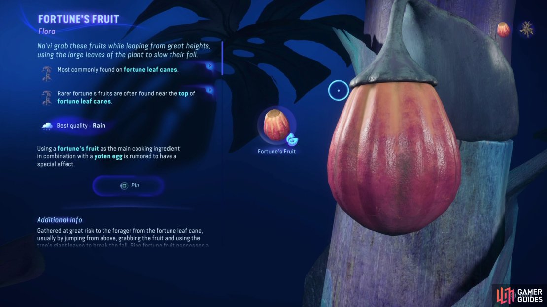 The Fortune&rsquo;s Fruit is an ingredient that can be difficult to harvest.