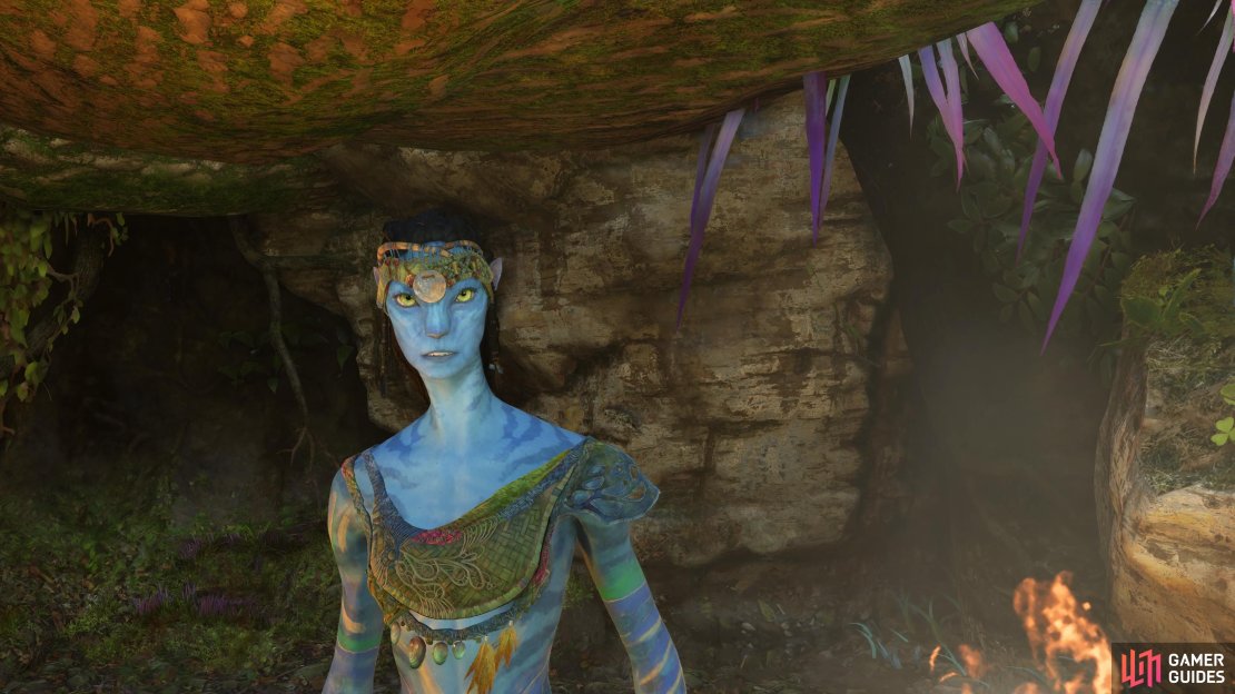 The Gatherer Gone side quest in Avatar: Frontiers of Pandora will task you with finding a Na&rsquo;vi named Vu&rsquo;an.