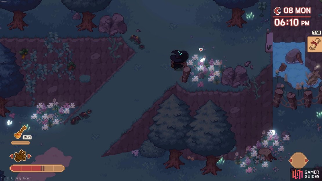 Find the blue moon butterflies hanging around the flowers on the plateau.