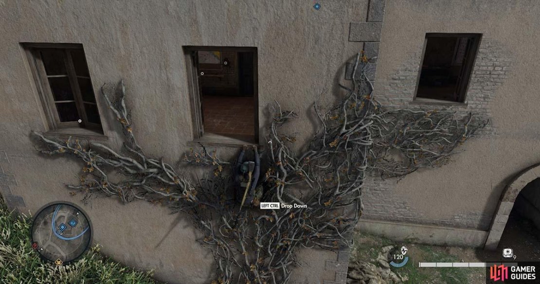 You&rsquo;ll need to use the vines to climb through the window to reach the room.