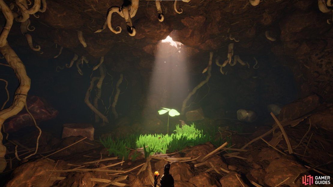 Here is everything you need to know about Grounded&rsquo;s 4 Leaf Clover Site.