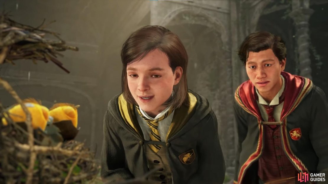 Here&rsquo;s a closer look at the Hogwarts Legacy Companions and how the feature works. Image via Warner Brothers.