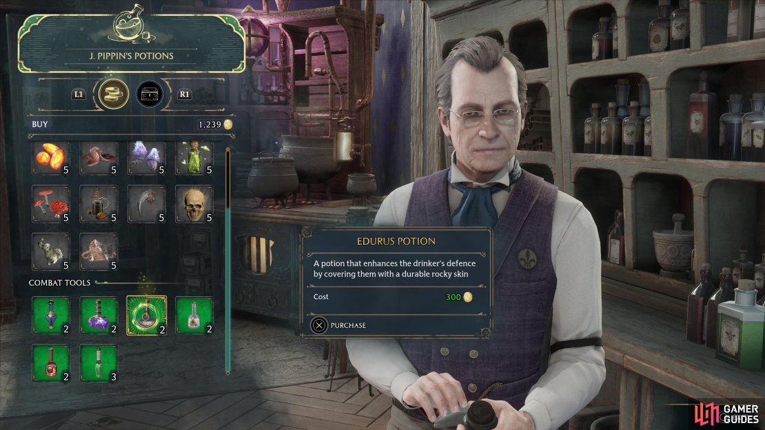 Instead of doing all the work brewing your own potions, you can just buy them from !J. Pippin&rsquo;s Potions.
