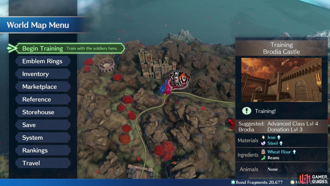 Training battles spawn on a region’s capital. Defeating the enemies here will earn you gold and EXP in addition to what you earn during the battle itself.