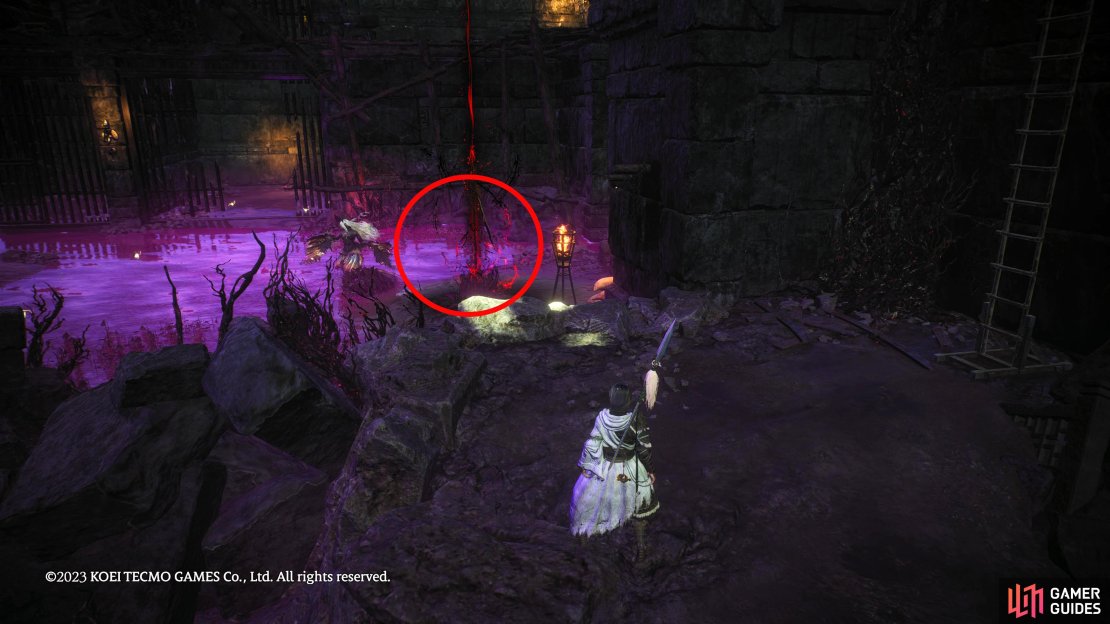 Found at the back of the lower level. Fight the Leader in the location where the character is standing.