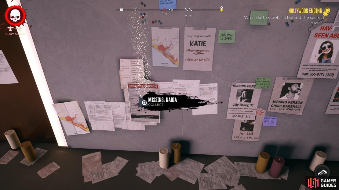 Nadia&rsquo;s missing person flier.