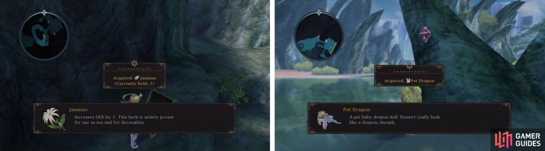 Make sure to grab the Jasmine on the cliff and in the next area get the Aifreads Treasure.