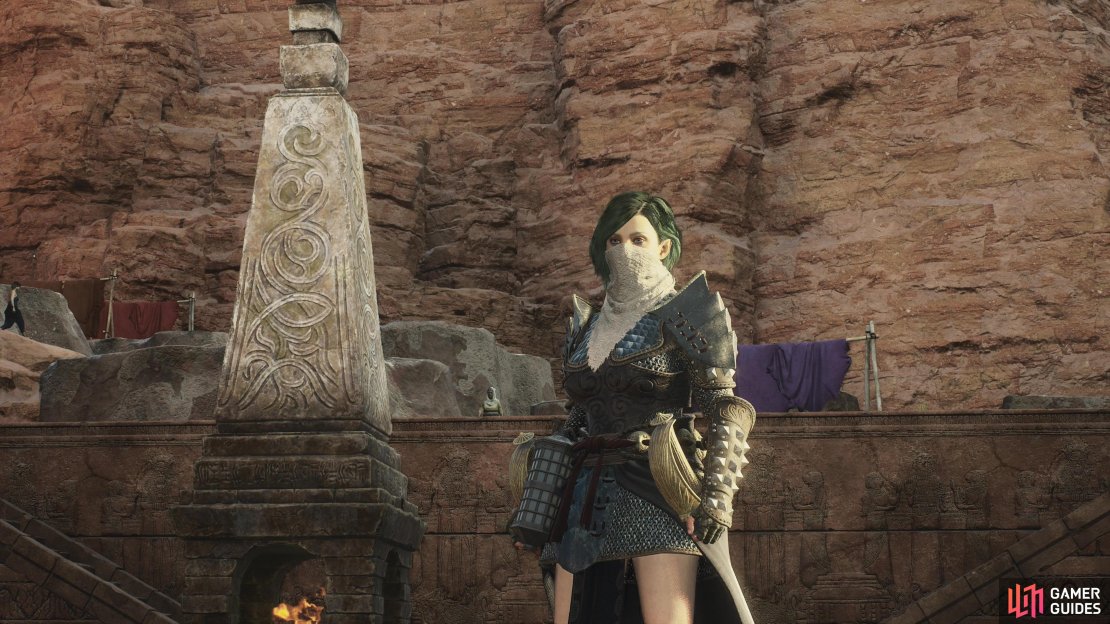 The Thief in Dragons&rsquo; Dogma is a DPS-focused class who focuses on dodging to keep themselves alive.