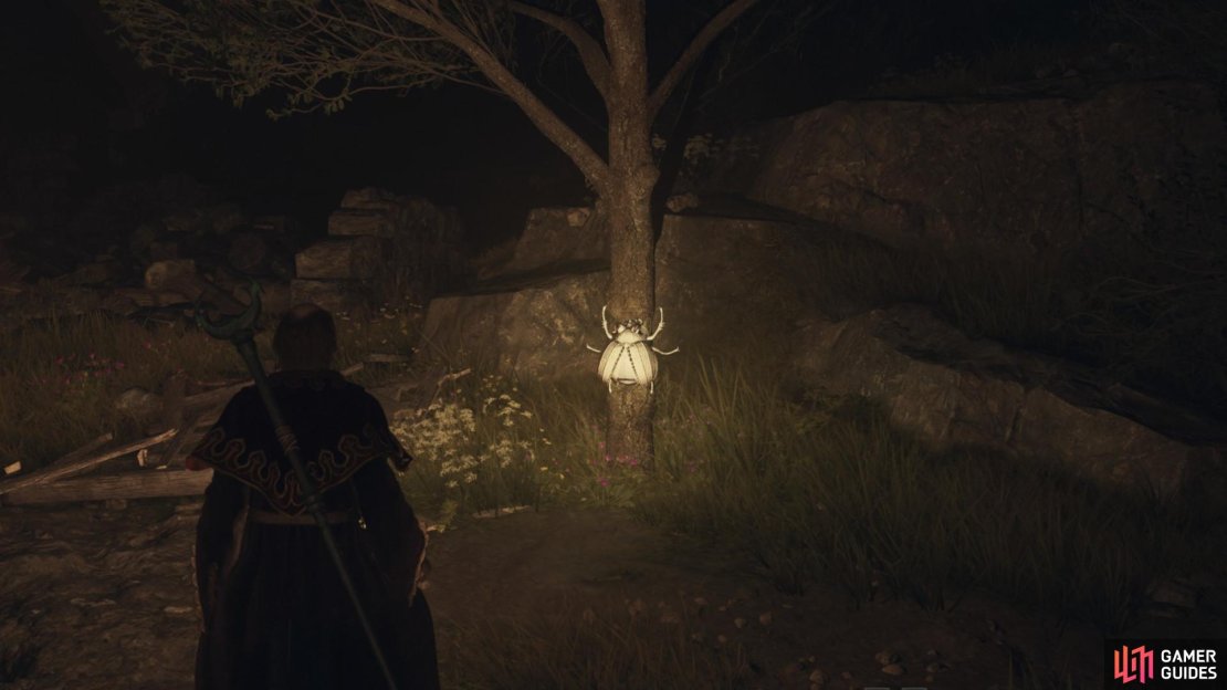 If there&rsquo;s any tip to take from this, it is that it is easier to find Golden Trove Beetles at night.