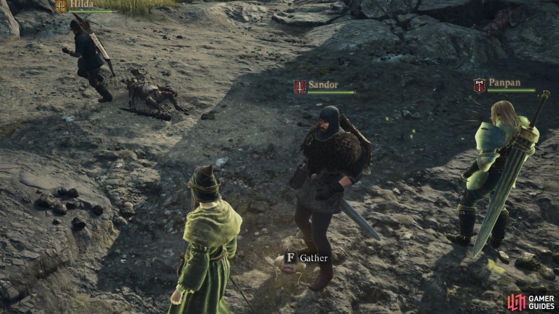 Here&rsquo;s everything you need to know about Golden Trove Beetles in Dragon&rsquo;s Dogma 2.