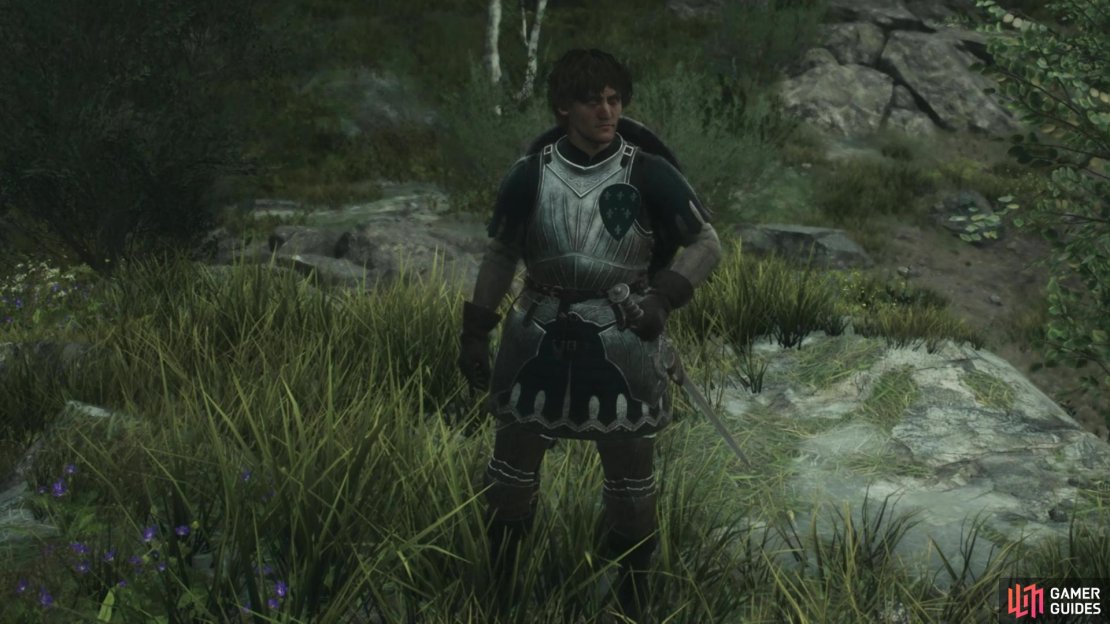 This guide teaches you how to complete the Provisioner&rsquo;s Blight quest in Dragon&rsquo;s Dogma 2, featuring locations of Harspuds, and how to make Salubrious Draughts.