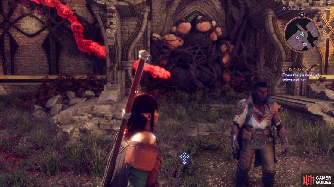 Defeat the Champion in Arlathan Forest’s Tainted Woods and use its Essence to open the Gate of something in The Crossroads.