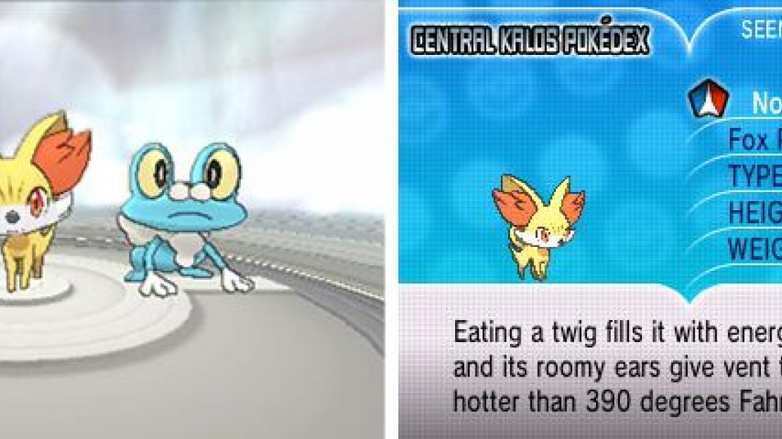 Each Pokemon has their good and bad points; you can’t go wrong with any.