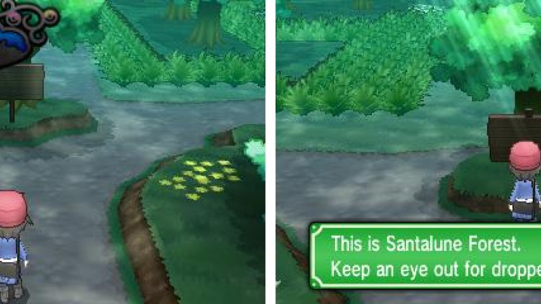Routes and dungeons are often littered with items, some hidden or in out-of-the-way areas.