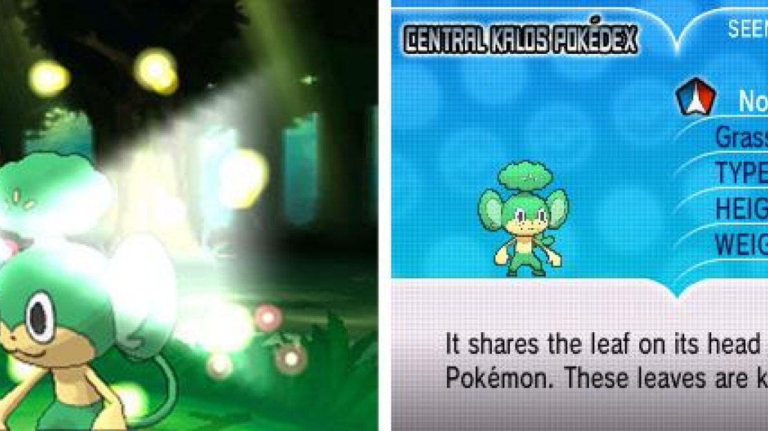 You can catch Fire, Grass and Water-type monkeys in this forest.