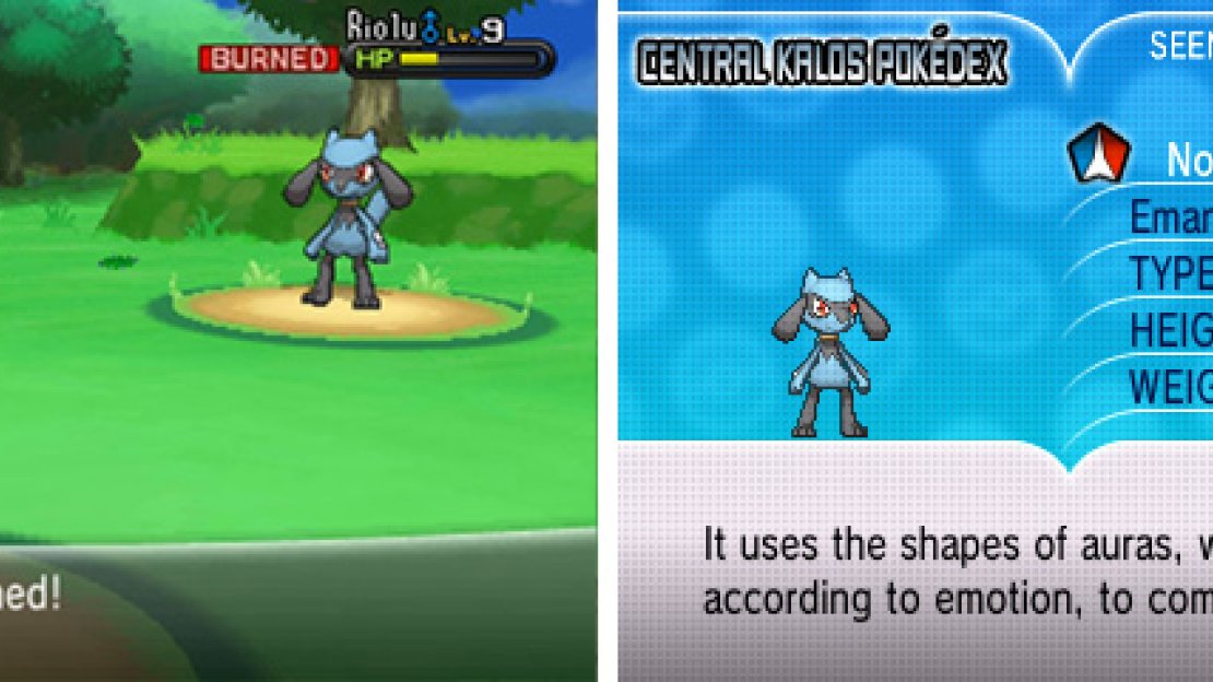 Riolu is weak to Flying Pokemon if you have one (eg. Pidgey, Fletchling).