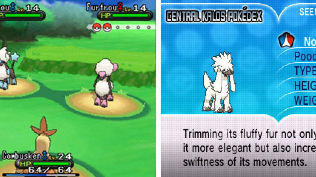 Furfrou aren’t good against Rock, Steel, Ghost or Fighting Pokemon.