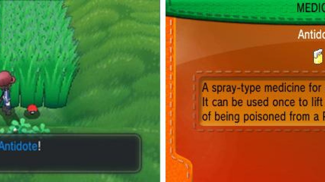 Look for the small gaps in the grass to grab your items while avoiding wild battles.