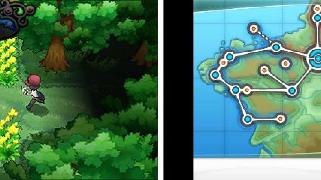 There’s a LOT of cool wild Pokémon to find and capture in the Pokémon Village.