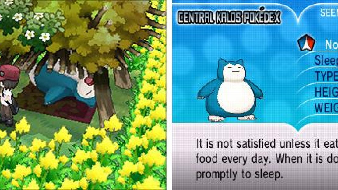 Snorlax doing what they do best. Lucky Snorlax.