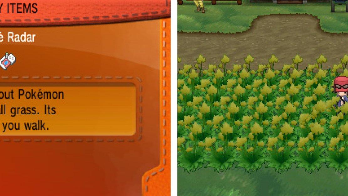 Registering the Poke Radar to the Y button will save a lot of time.