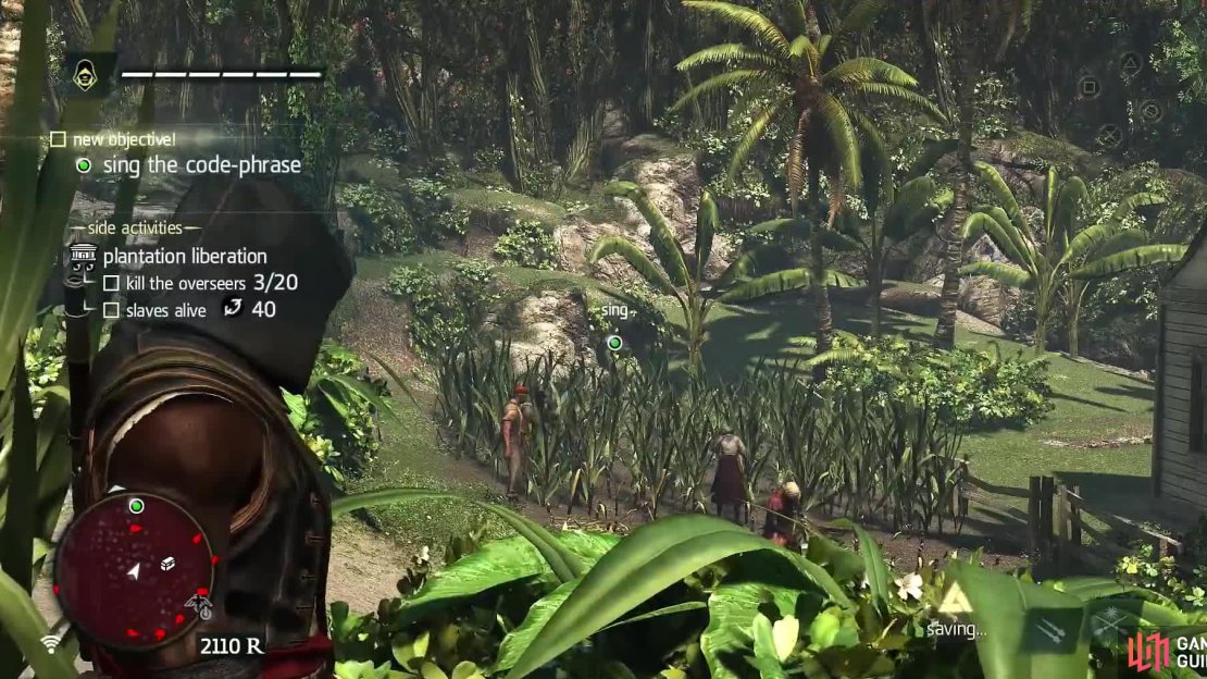 The contact is on the edge of those sugar canes. Make sure to clear out the guard nearby.