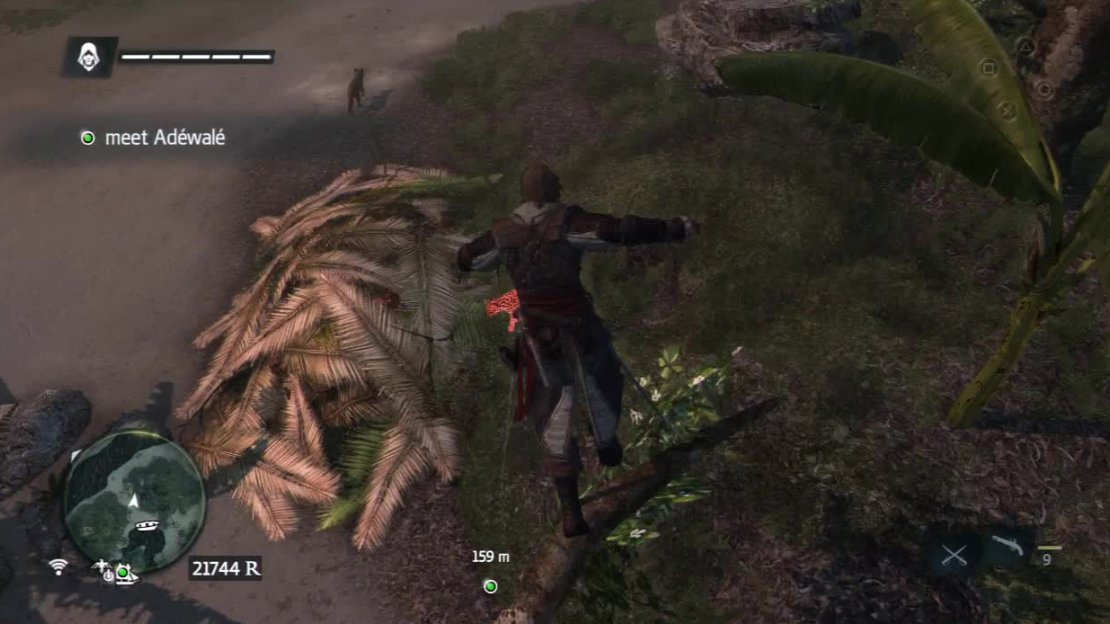 A tree like this is good as you are up high enough that they have trouble spotting you.