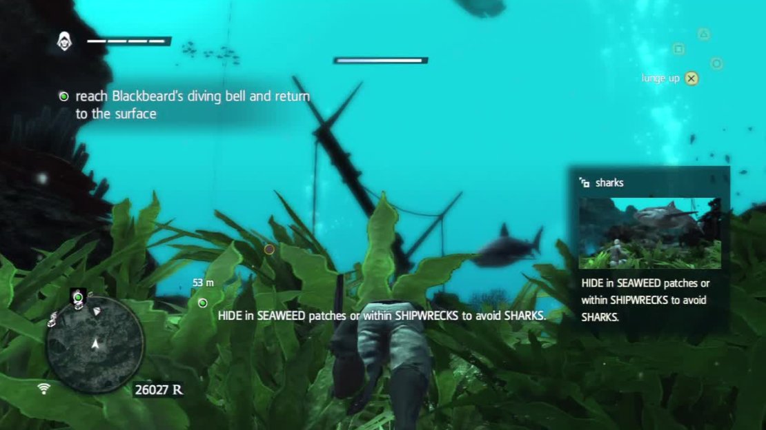 Hide in seaweed patches to avoid sharks. You really need to do this as you have no defense against shark attacks otherwise.