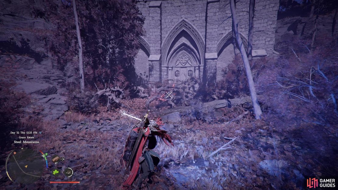 Focus light using your sword to set the vines on fire and clear a way to the southern face of the tower.