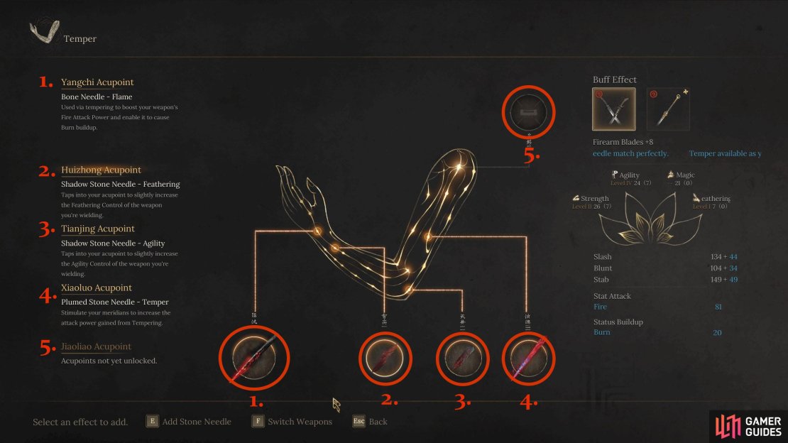 Each acupoint slot has a different name, which you can see in this image. This is important when unlocking the Alteration nodes in the skill tree.