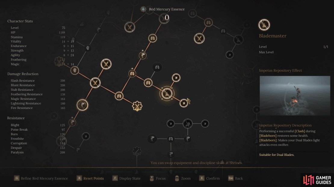 Blademaster is the main skill in this build, hence the name.