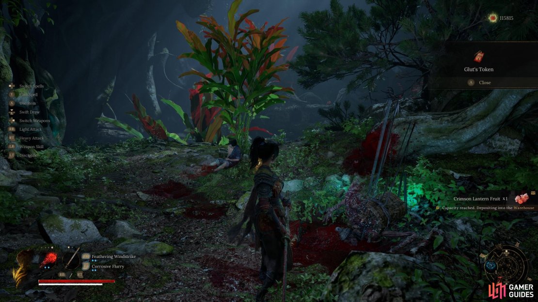 You will find the Leech on the log pathway above the Avian Dwelling shrine. Kill it to get both Matchstick and Glut&rsquo;s Tokens, if they made it this far. Image via Gamer Guides / 505 Games.
