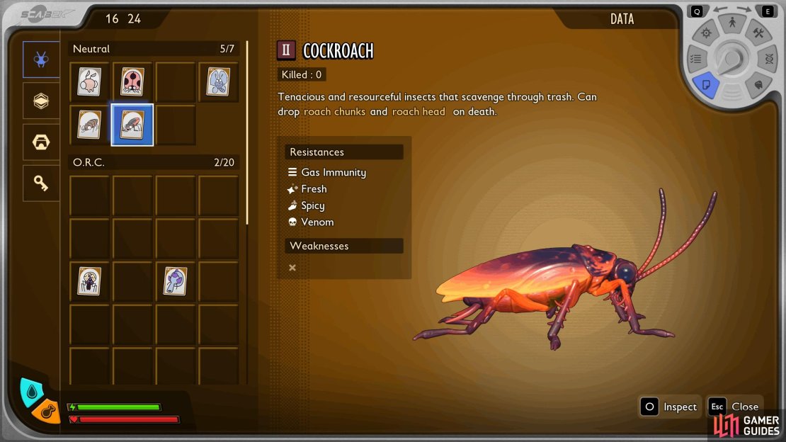 The best place to farm Cockroaches is the Fire Pit, but there are plenty of other areas to find them.
