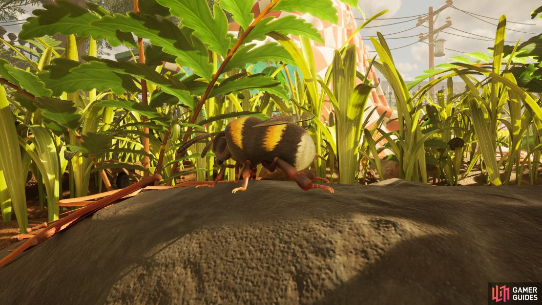 Here’s where to farm bees in Grounded 2. Image via Gamer Guides and Obsidian.