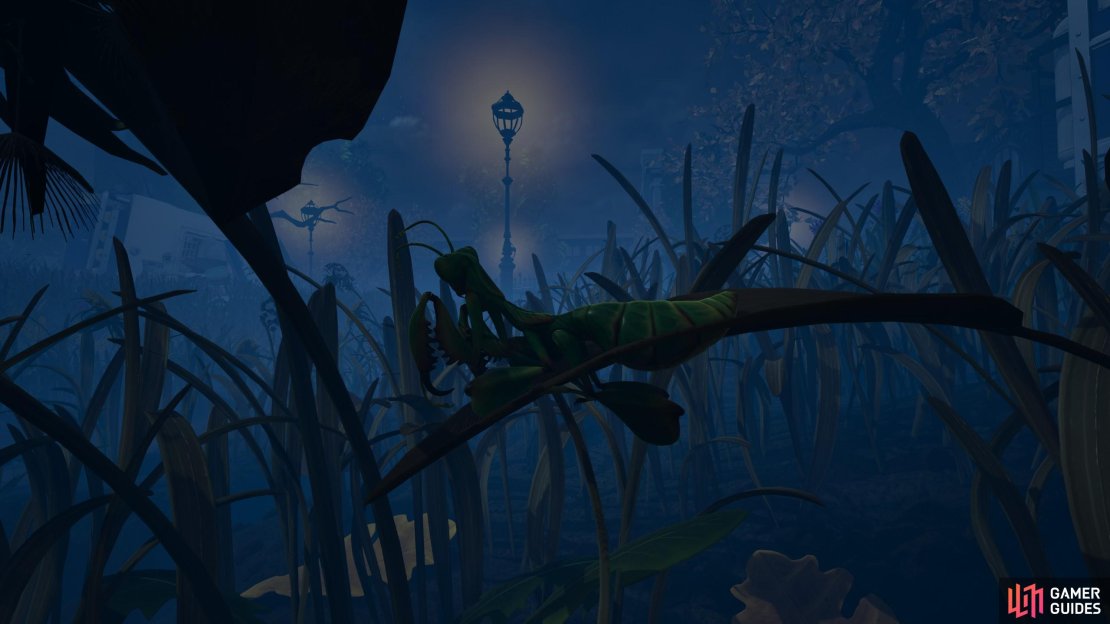 Hers is everything you need to know about the Praying Mantis Nymph in Grounded 2. Image via Gamer Guides / Obsidian.