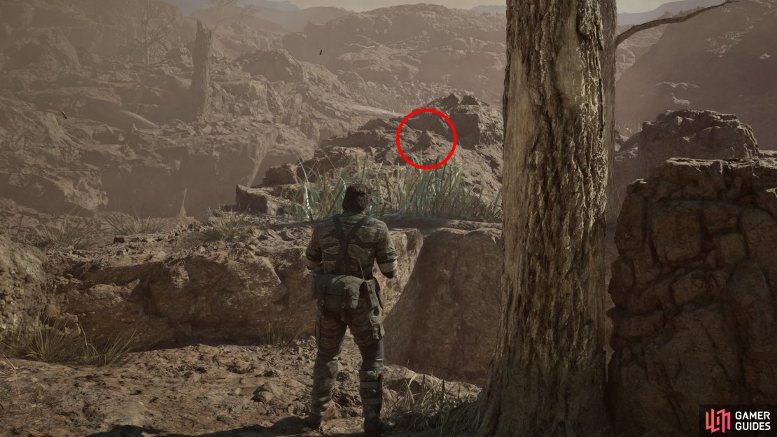 Head to the northwestern most cover (a tree and a stone wall) during the Ocelot fight and look at a mound to the northwest to spot this well-camouflaged GA-KO.
