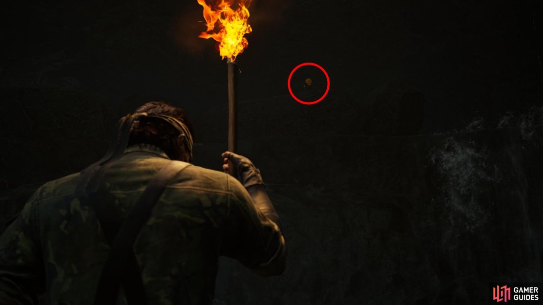 Find the chamber with two waterfalls, between which is a cubby containing a Torch. This GA-KO is on a ledge above the torch, between the two waterfalls.