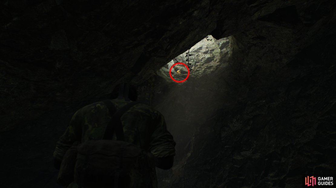 Along the southern edge of the chamber where you fight The Pain, in a hole on the ceiling.